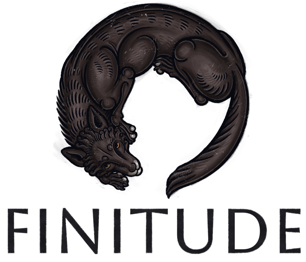 Finitude logo