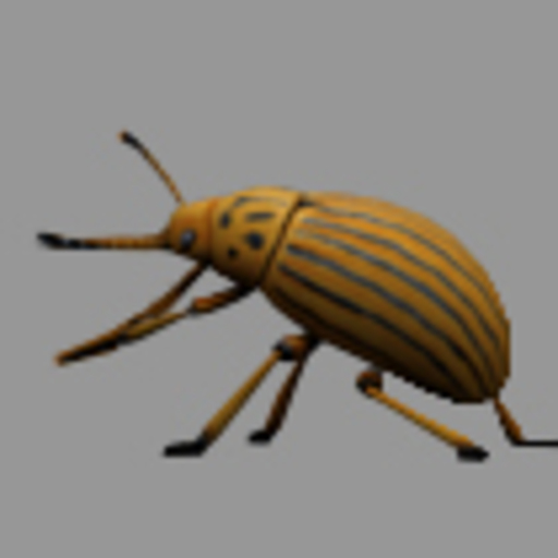 pestibug logo