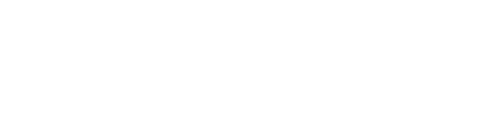 The Monkey Co logo